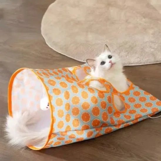 Tunnel d'Aventure pour Chat | Stimulation et Exploration - Mondechat