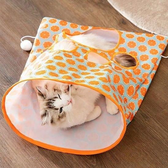 Tunnel d'Aventure pour Chat | Stimulation et Exploration - Mondechat