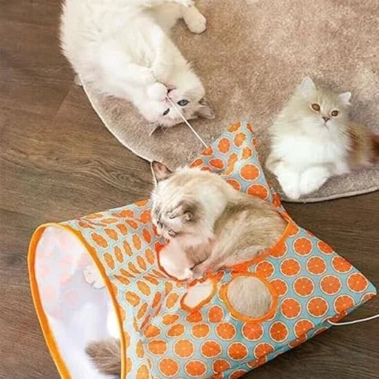 Tunnel d'Aventure pour Chat | Stimulation et Exploration - Mondechat