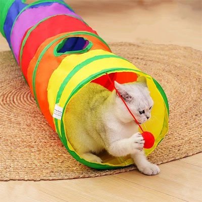 Tunnel pour chat | Pliable - Mondechat