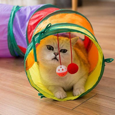 Tunnel pour chat | Pliable - Mondechat