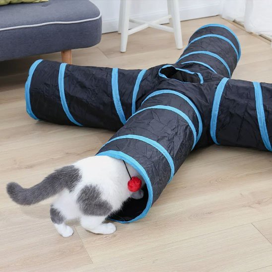 Tunnel pour chat | Pliable et Douillet - Mondechat