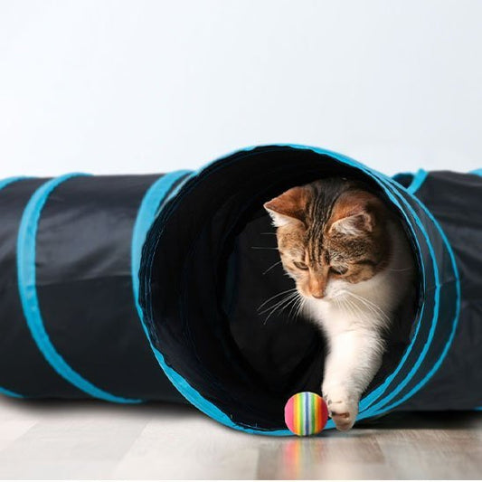 Tunnel pour chat | Pliable et Douillet - Mondechat