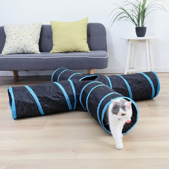 Tunnel pour chat | Pliable et Douillet - Mondechat