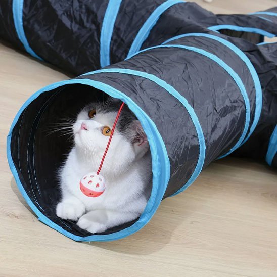 Tunnel pour chat | Pliable et Douillet - Mondechat