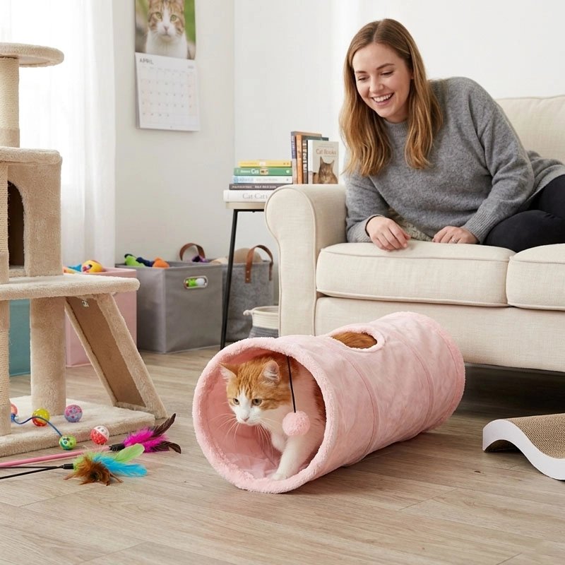 Tunnel pour Chat